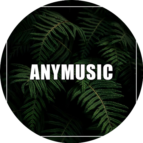 AnyMusic