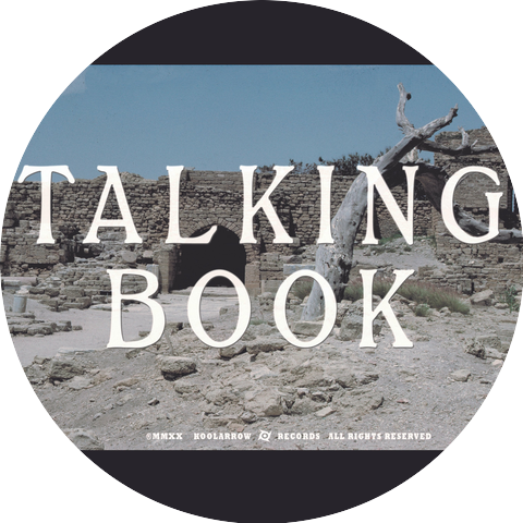 Talking Book