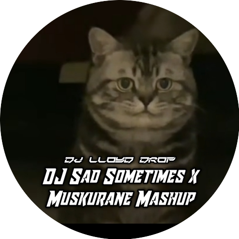 DJ Lloyd Drop