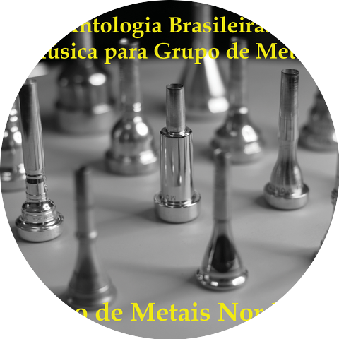 Grupo Metais Nordeste