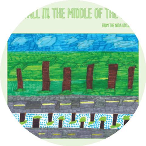 The Nina Gotsis Band