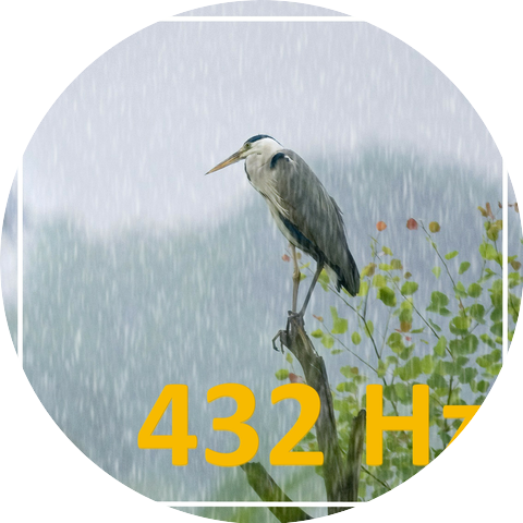 Architect of Mindfulness