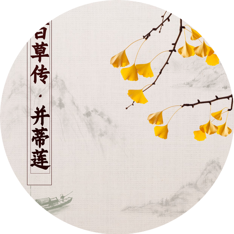 茶茶筱雨