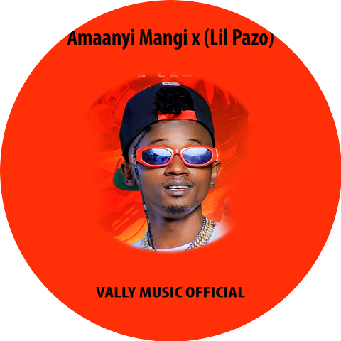 Vally Music Official