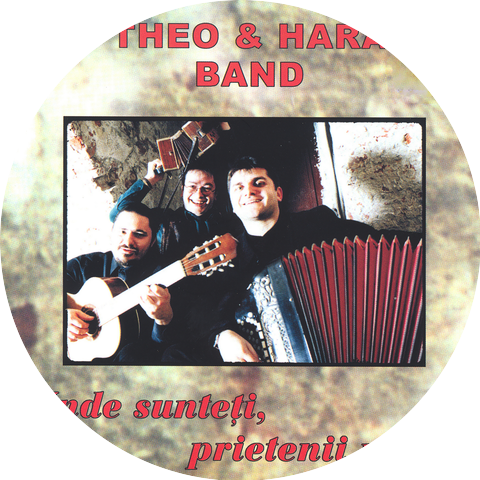 Theo & Hara Band