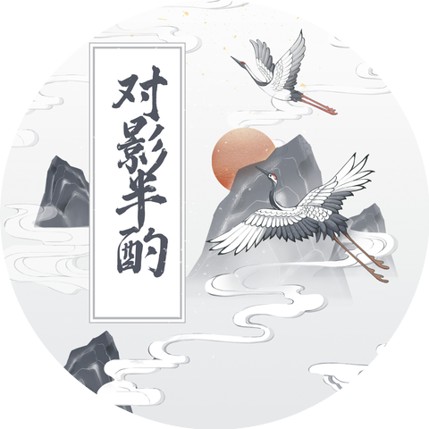 沙鸥
