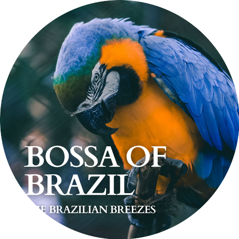 The Brazilian Breezes