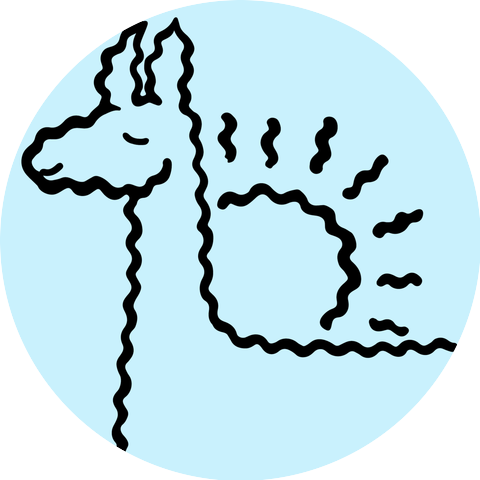 Llama Day!