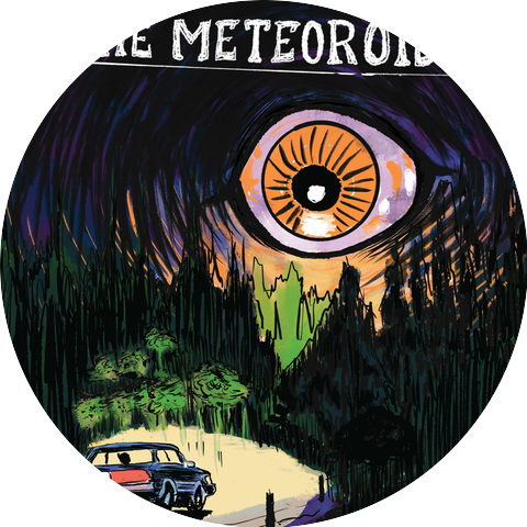 The Meteoroids