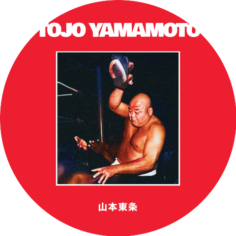 TOJO YAMAMOTO