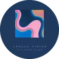 Apollo Vision