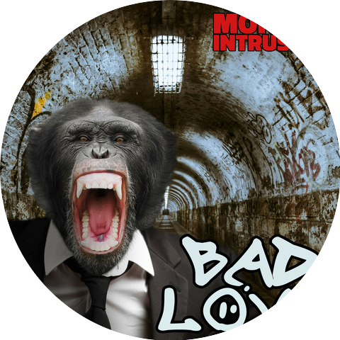Monkey Intrusion