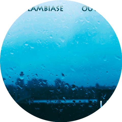Matt Lambiase