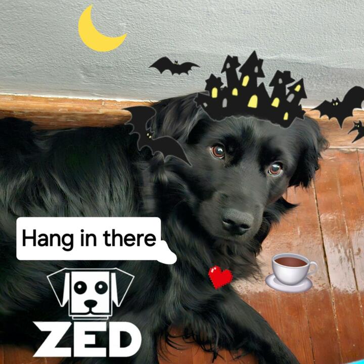 Zed