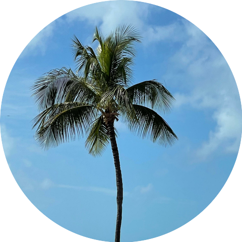 Clark Street Project