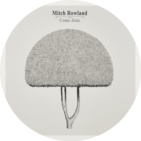 Mitch Rowland