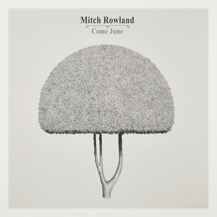 Mitch Rowland