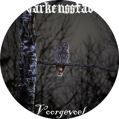 Varkensstad