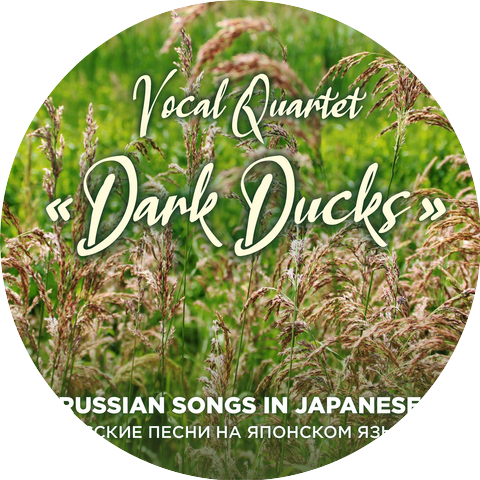 Vocal Quartet "Dark Ducks"