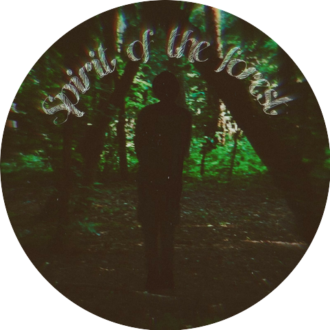 Spirit Of The Forest