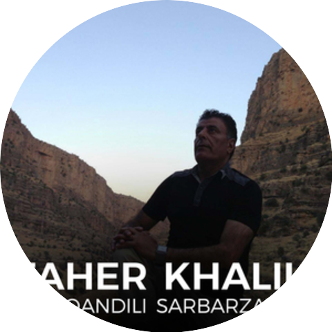 Taher Khalili