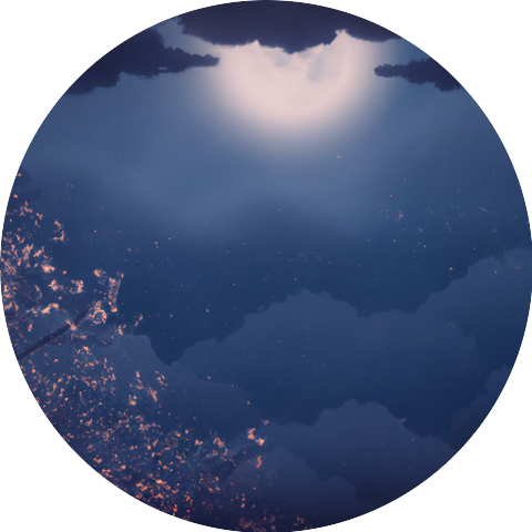 Moonlight Dream