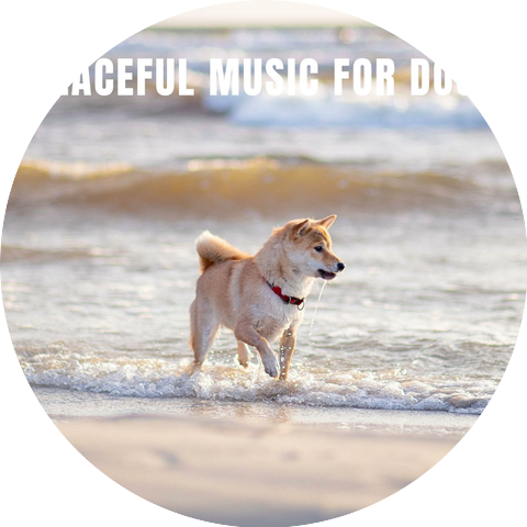 Naturra Soundscapes