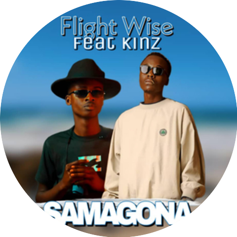 Flight Wise