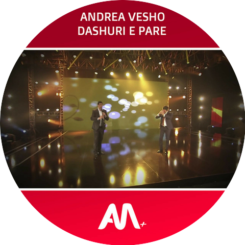 Art Media + & Andrea Vesho