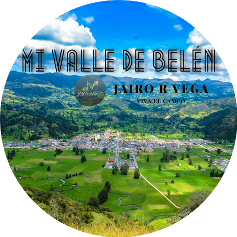 Jairo R Vega