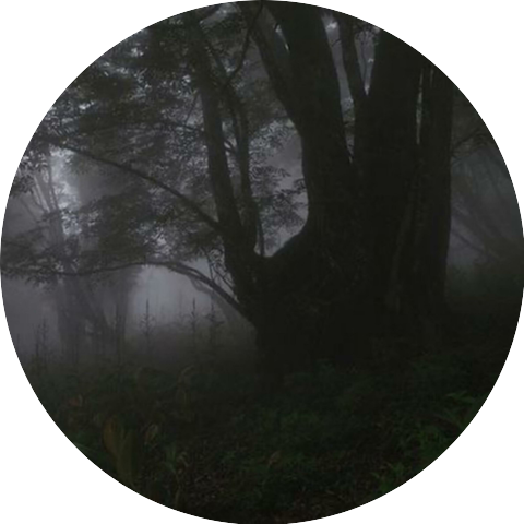 Chris Finesse Exclusives