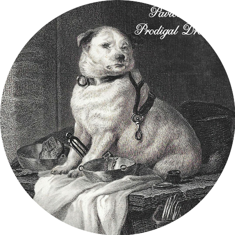 Pavlov's Dog
