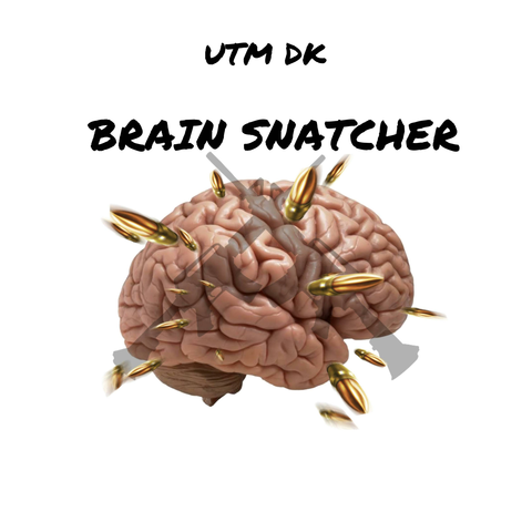UTM DK