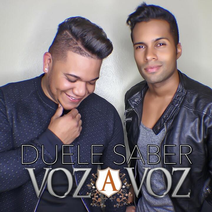 Voz a Voz