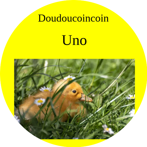 Doudoucoincoin