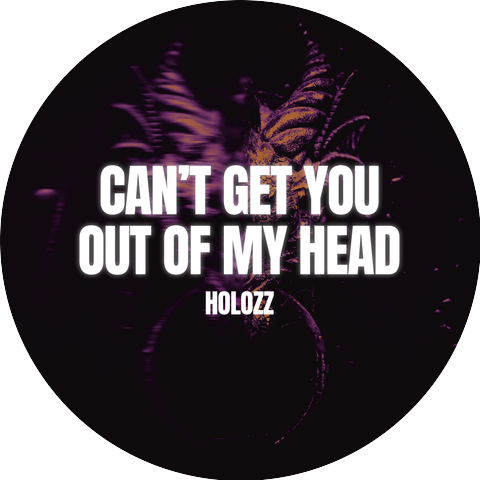 HOLOZZ