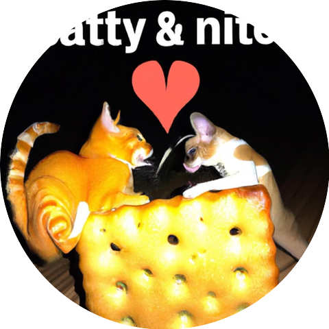Catty & Niter