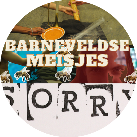 Barneveldse Meisjes