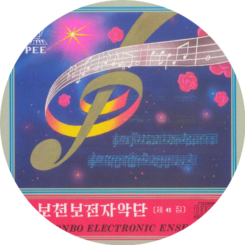 Pochonbo Electronic Ensemble