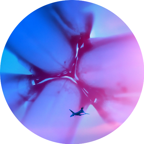 Flight Assist