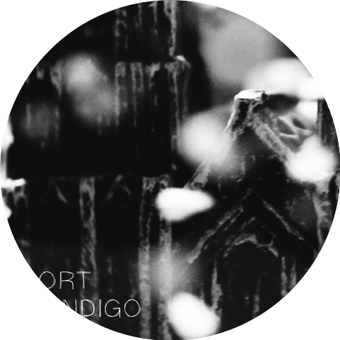 Port Wendigo