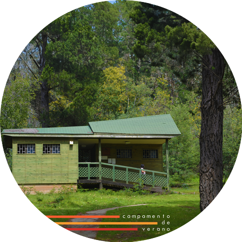 campamento de verano