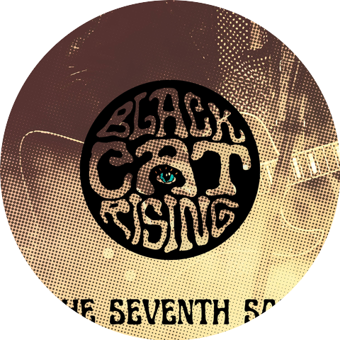Black Cat Rising