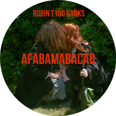 Robin T100 Banks