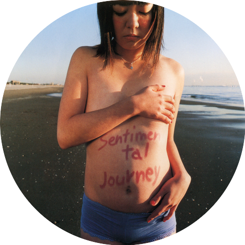 Seagull Screaming Kiss Her Kiss Her