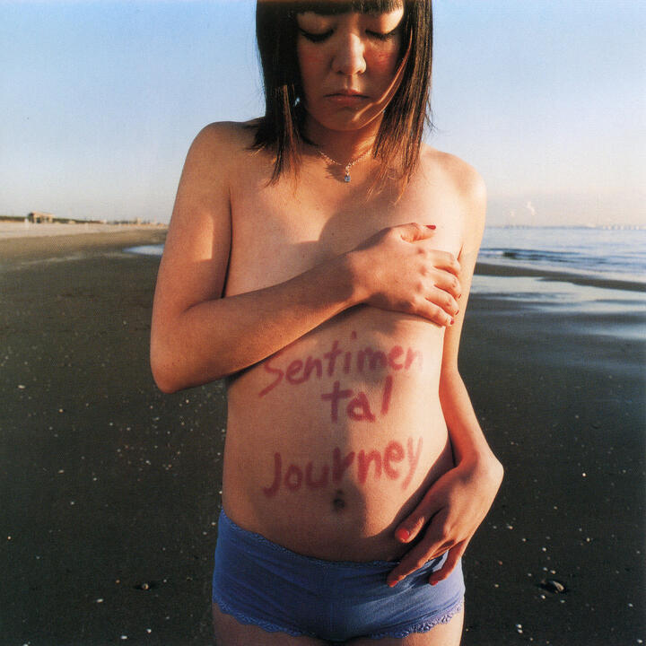 Seagull Screaming Kiss Her Kiss Her