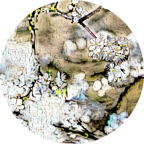 Cracked Mosley