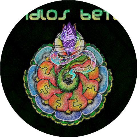 Indios Beta y Adrian Rainforest
