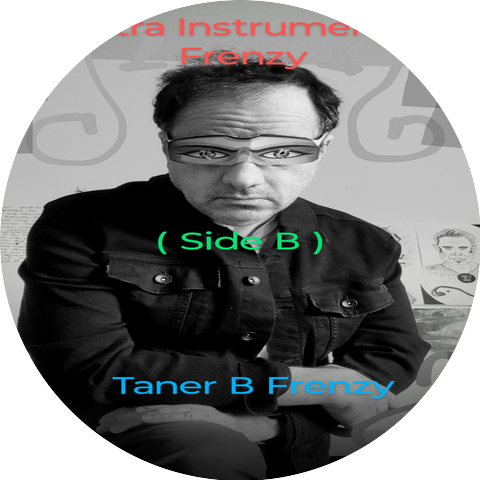 Taner B Frenzy
