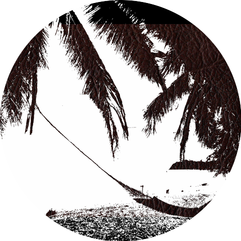 Tropical Chillz